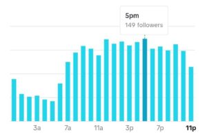TikTok analytics example